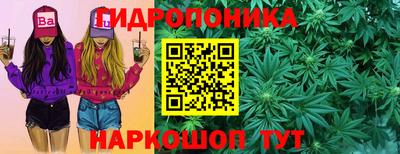 мяу мяу мука Кинель