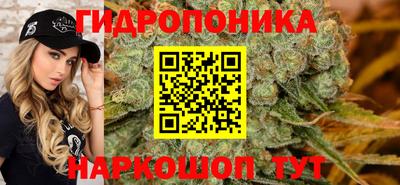 спиды Кимры
