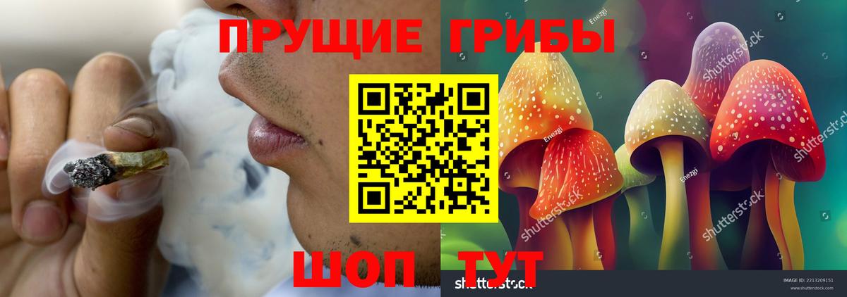 Галлюциногенные грибы MAGIC MUSHROOMS Королёв